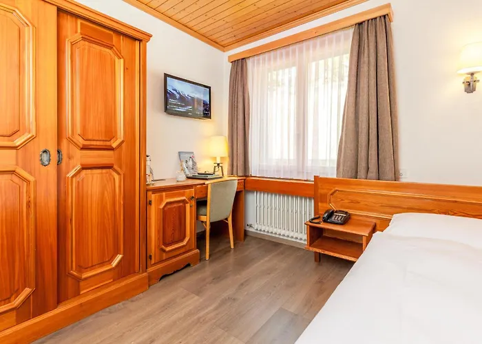 Alpenblick 체르마트